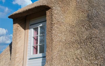 Rotherby thatch roof disadvantages